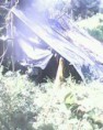 /album/fotogaleria-de-la-granja/pen-hous-jpg/