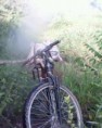 /album/fotogaleria-inicio/bicicleta-jpg2/