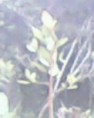 /album/fotogaleria-inicio/mara%c3%b1on-jpg2/